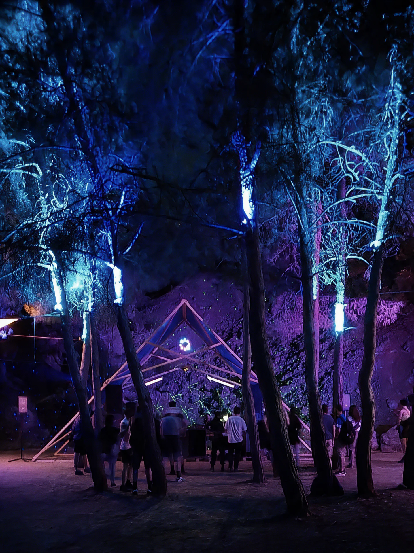 Tall woodland trees illuminated in blue and violet around an outdoor gathering